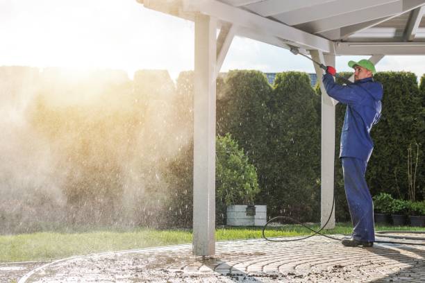 Best Driveway Pressure Washing  in Sierra Ridge, CO